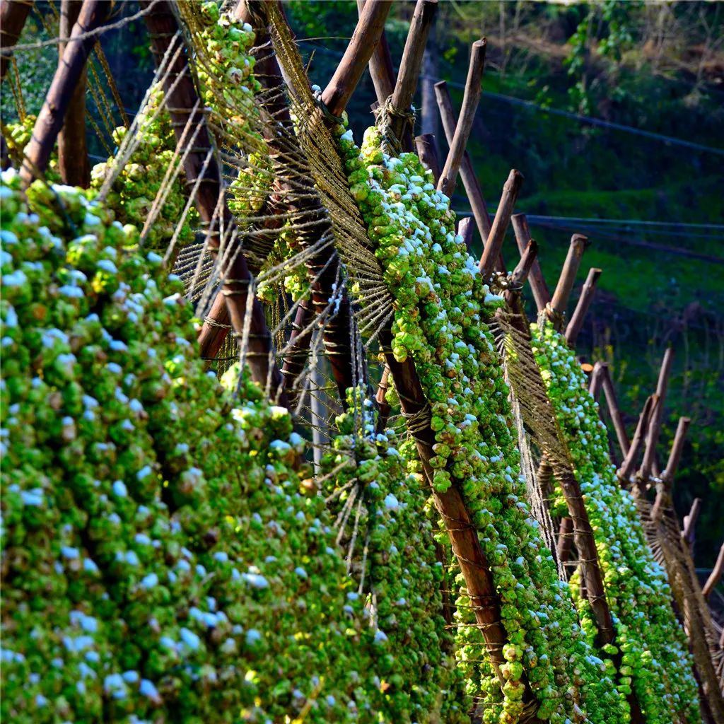 �ƶ�����3118(�й�)�ٷ���վ